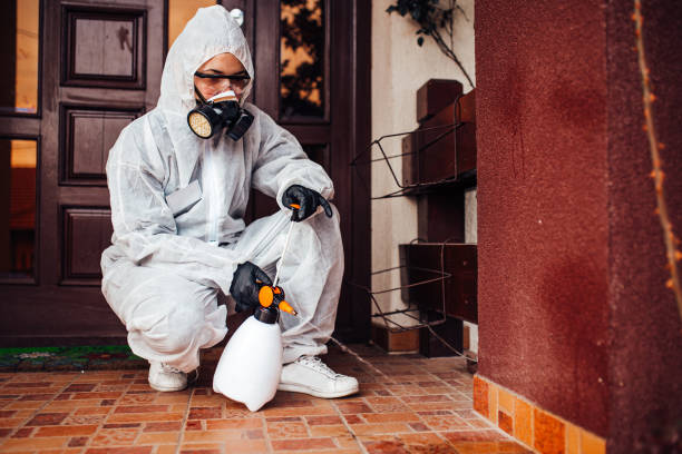 Attic and Crawl Space Rodent Treatment in Old Hill
